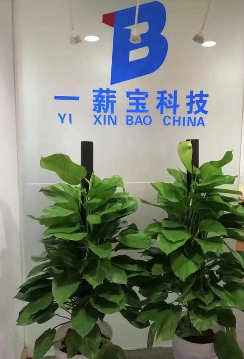大数据科技,智能化科技,教育科技,检测技术,通讯科技,新材料科技领域