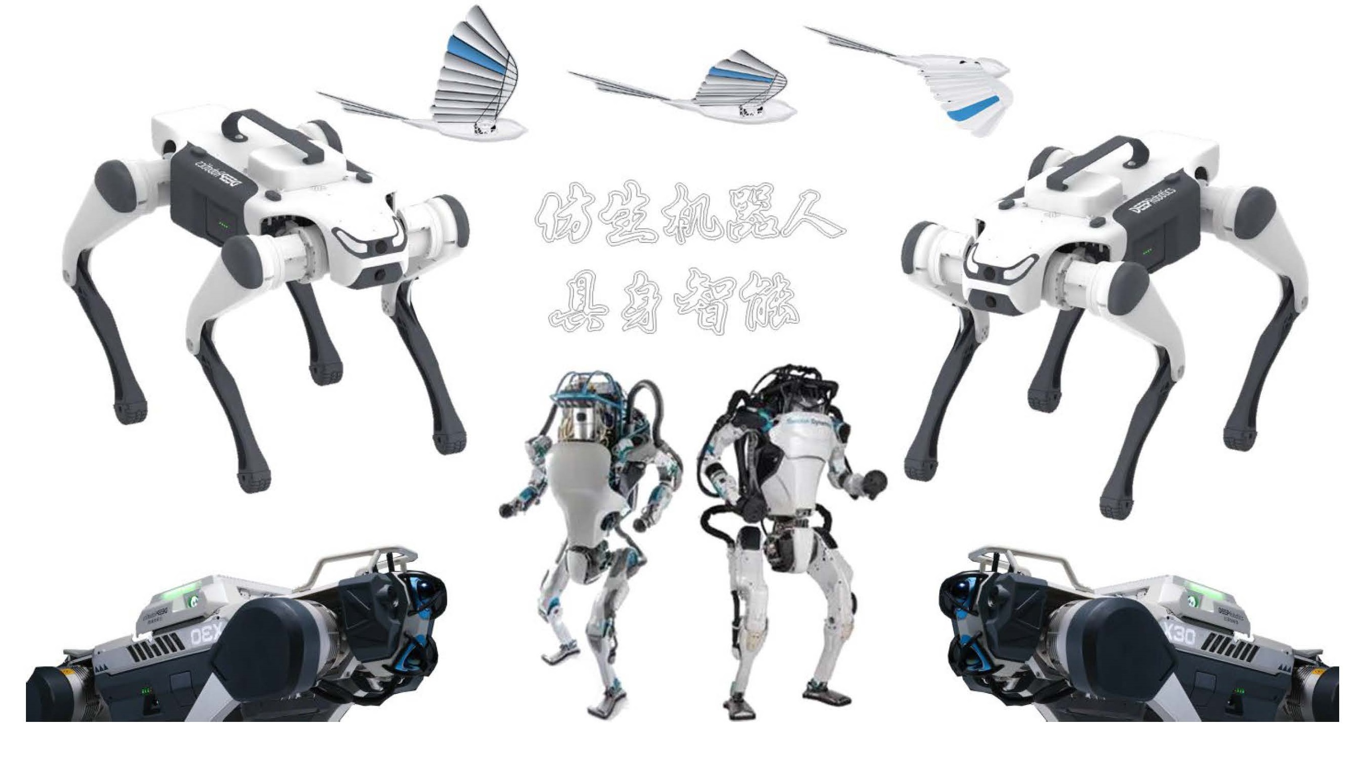 科研团队